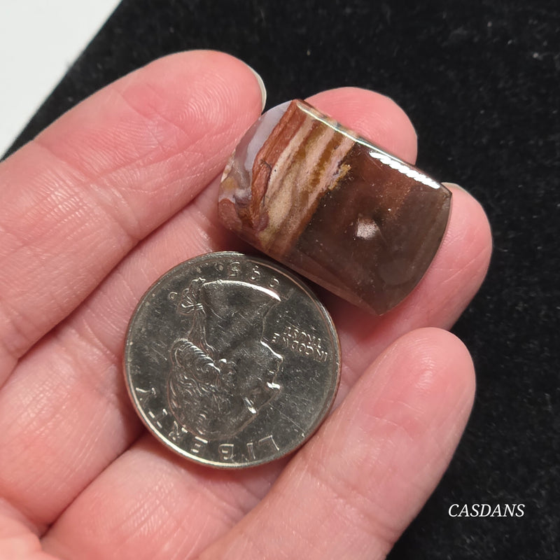 Agatized Wood Cabochon