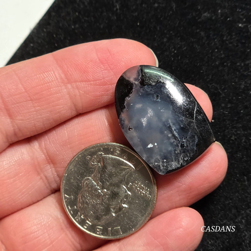 Agatized Wood Cabochon