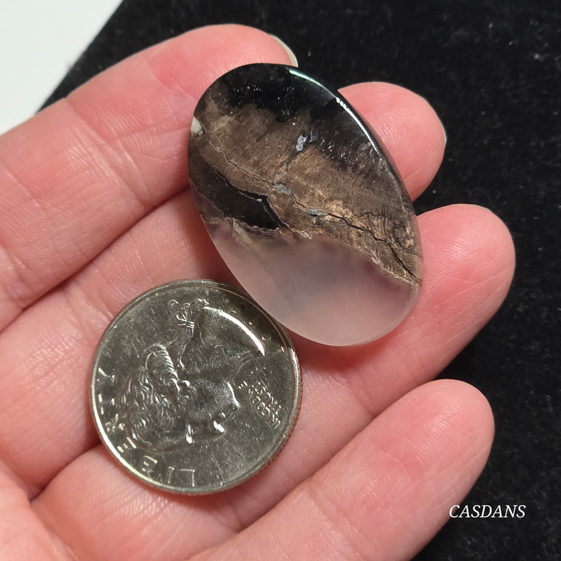 Agatized Wood Cabochon