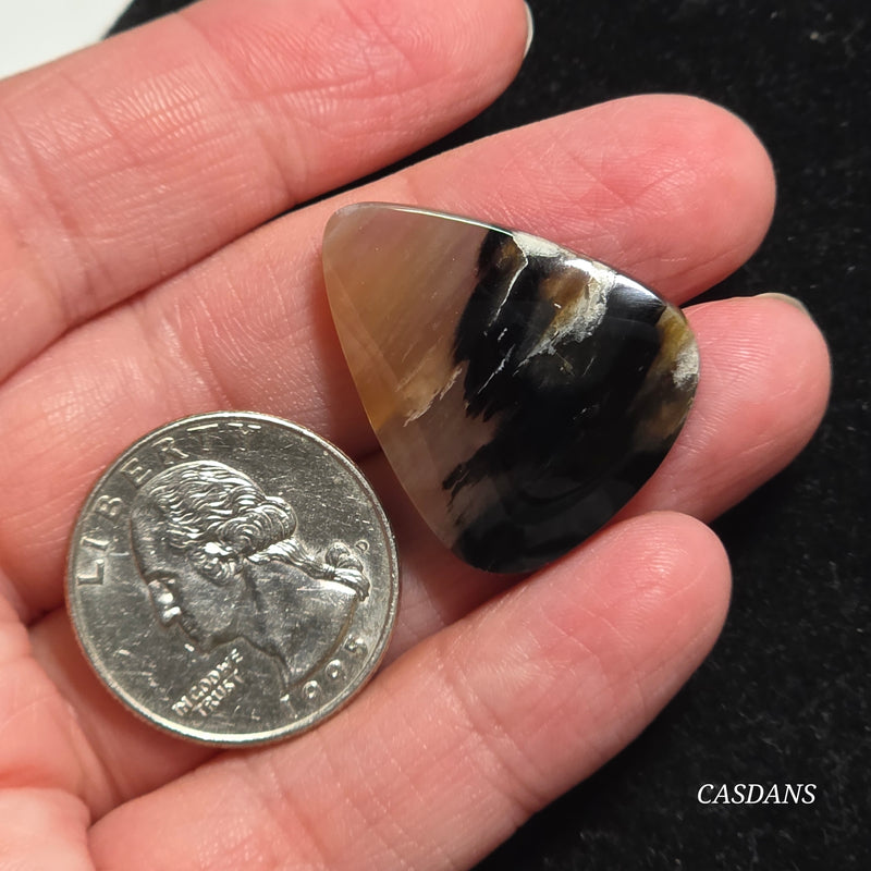 Agatized Wood Cabochon