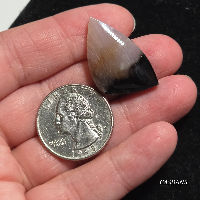 Agatized Wood Cabochon