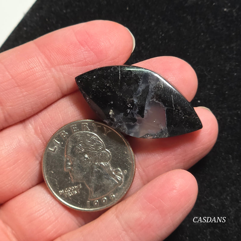 Agatized Wood Cabochon