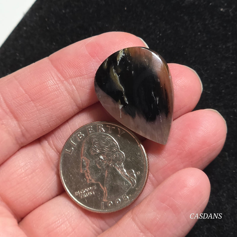 Agatized Wood Cabochon