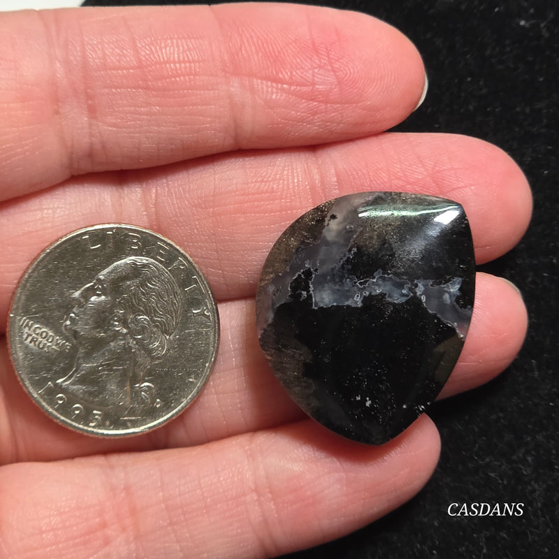 Agatized Wood Cabochon
