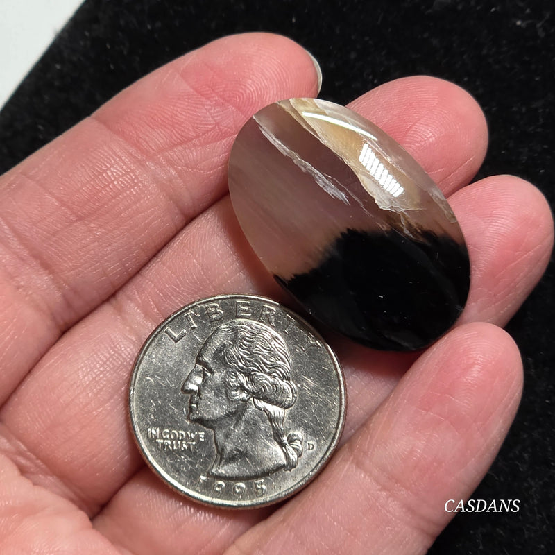 Agatized Wood Cabochon