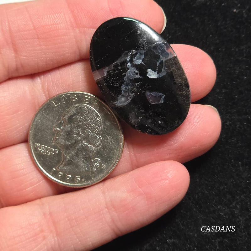 Agatized Wood Cabochon