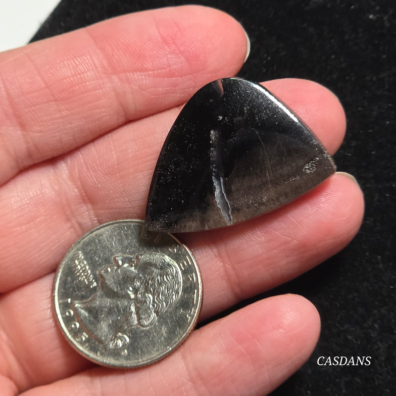 Agatized Wood Cabochon