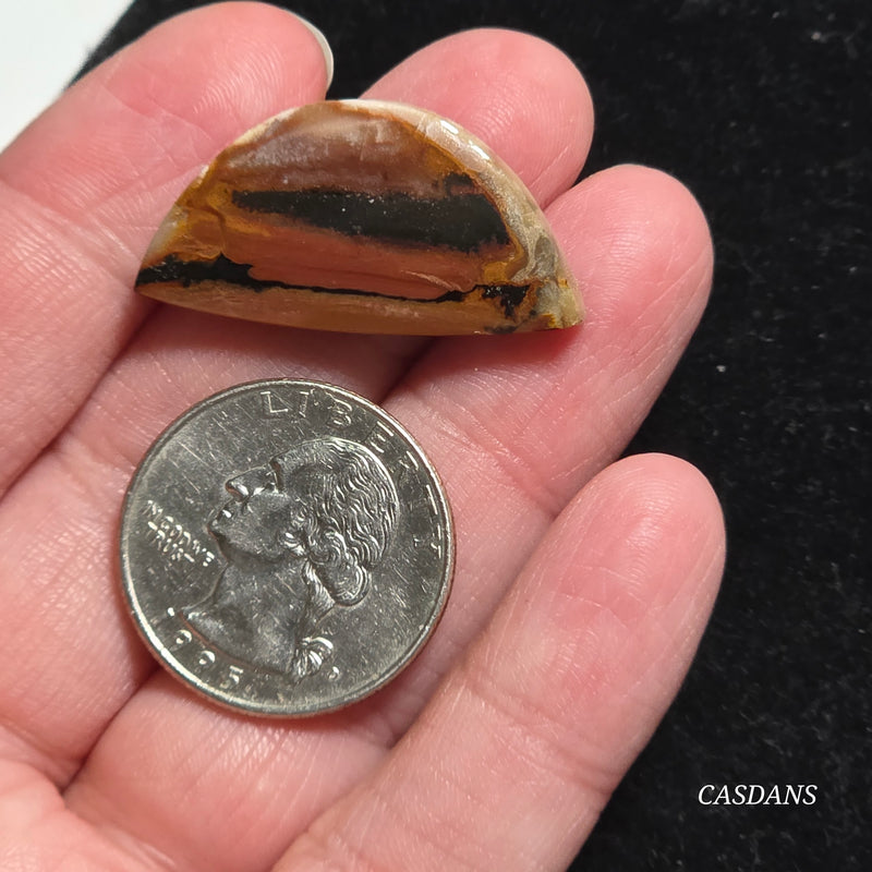 Agatized Wood Cabochon