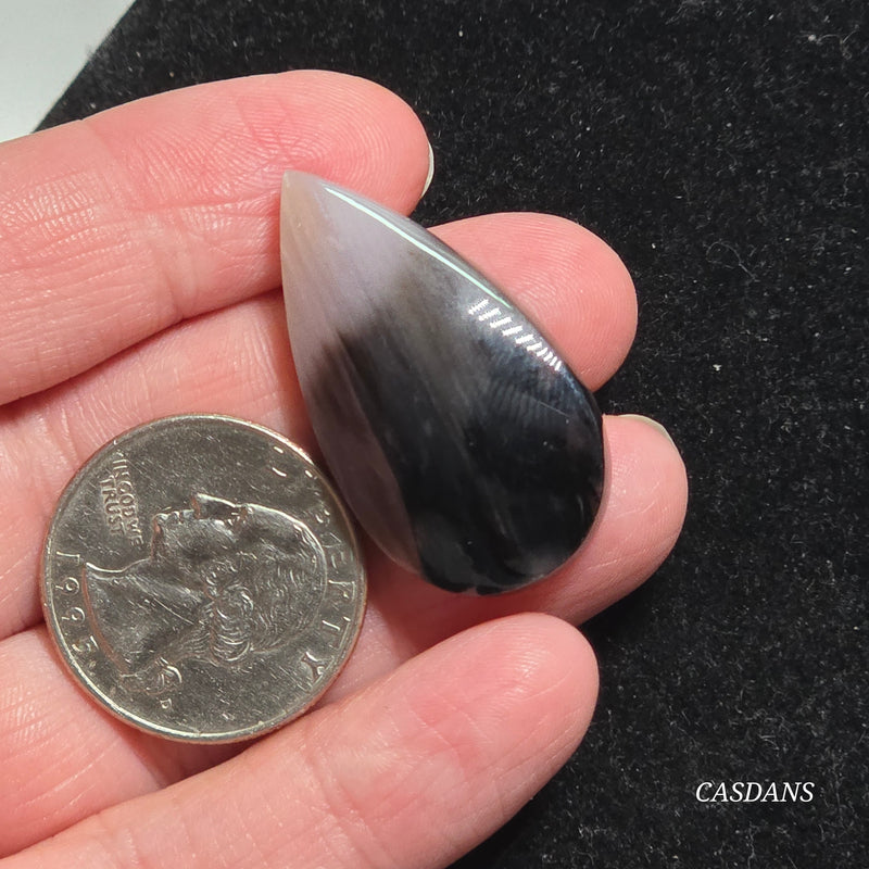 Agatized Wood Cabochon