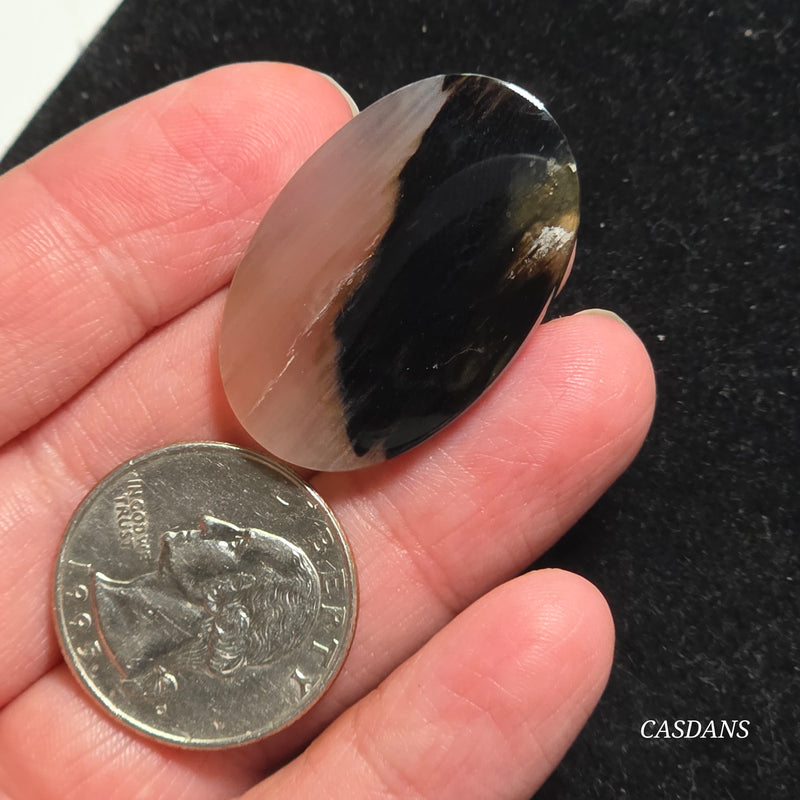 Agatized Wood Cabochon