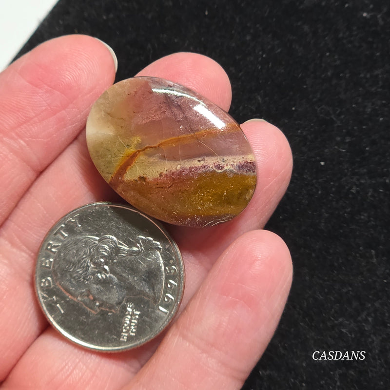 Agatized Wood Cabochon