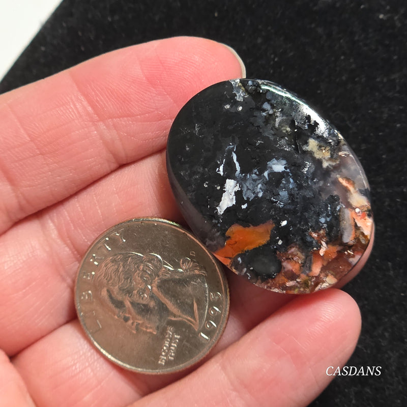 Agatized Wood Cabochon