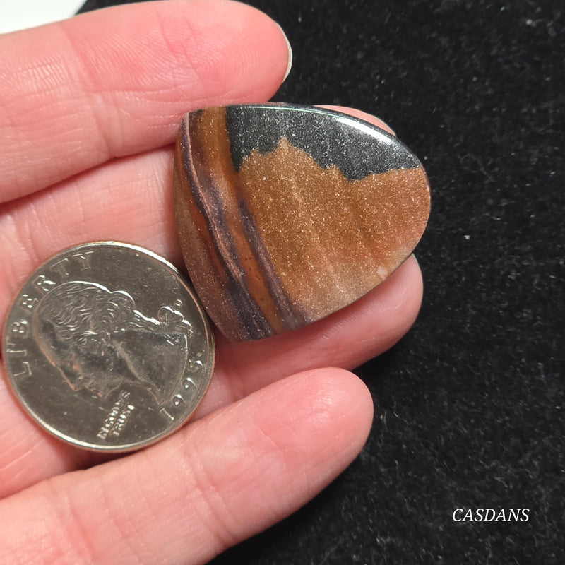 Agatized Wood Cabochon