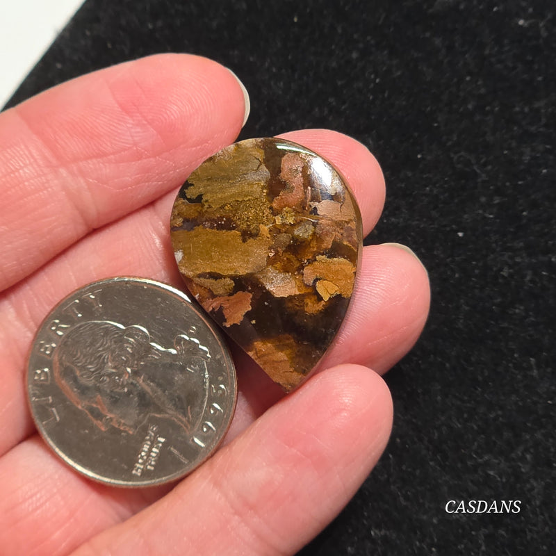Agatized Wood Cabochon