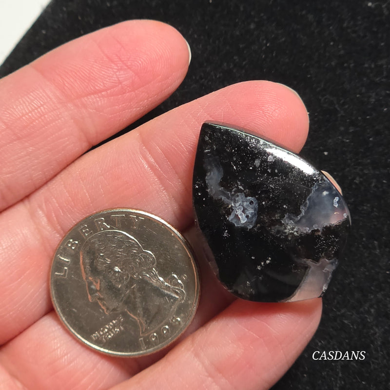 Agatized Wood Cabochon