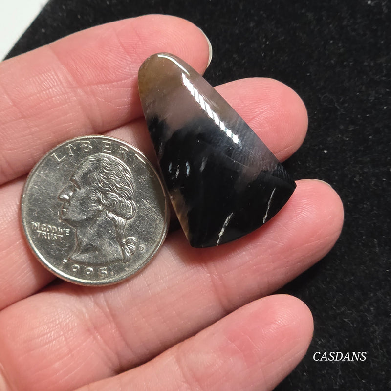Agatized Wood Cabochon