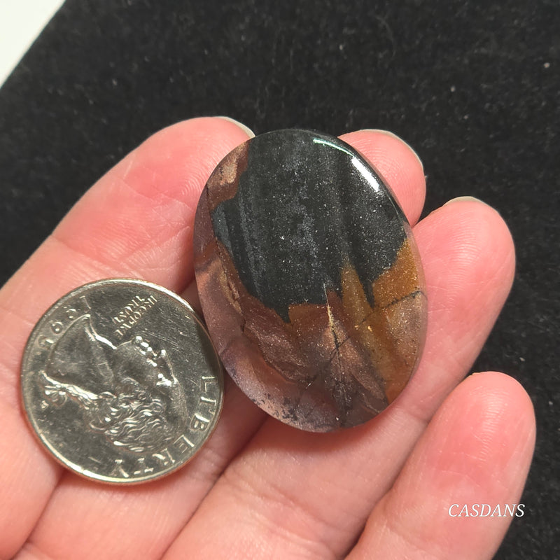 Agatized Wood Cabochon