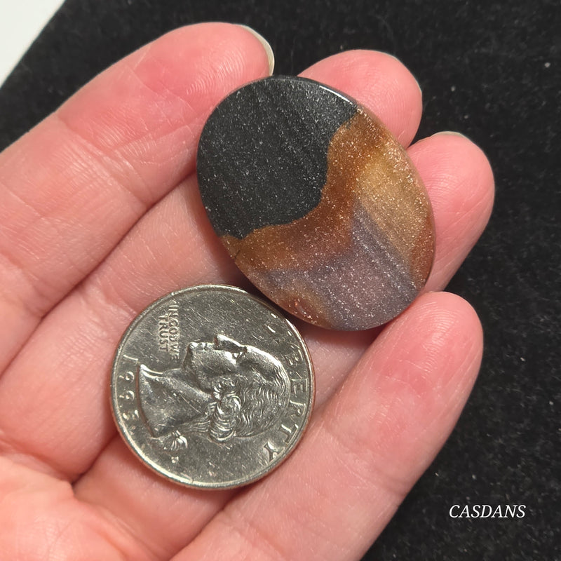 Agatized Wood Cabochon