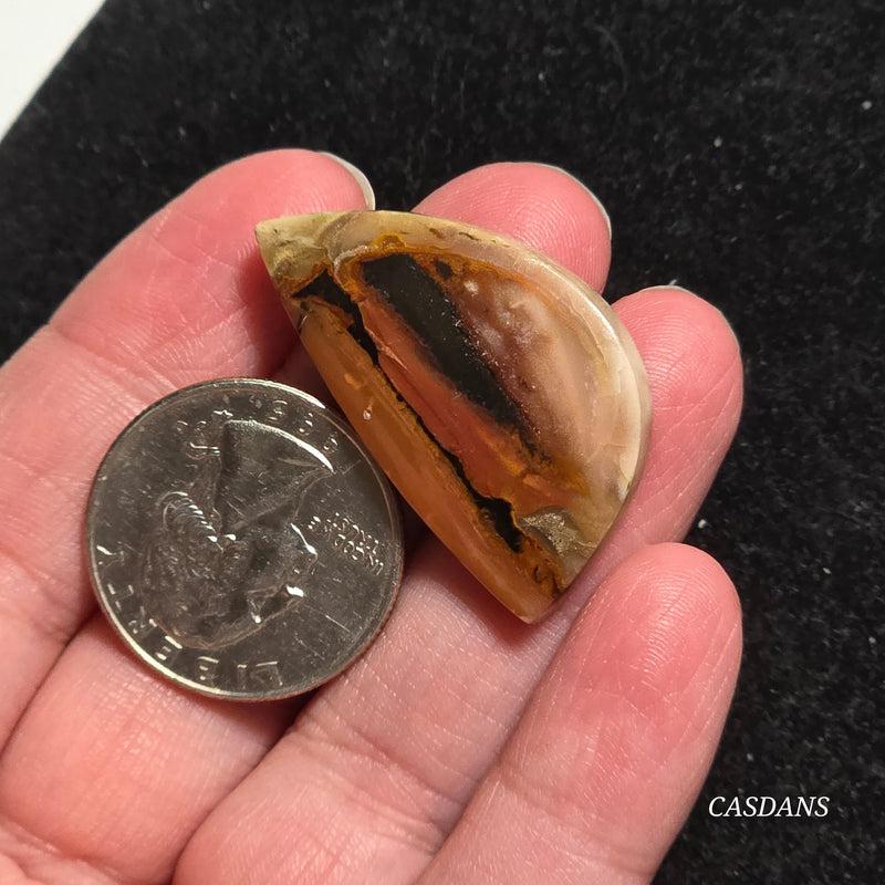 Agatized Wood Cabochon