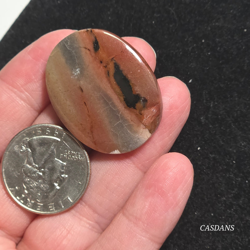 Agatized Wood Cabochon