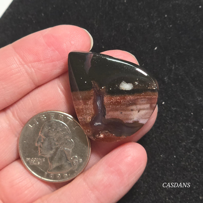Agatized Wood Cabochon