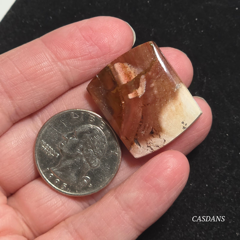 Agatized Wood Cabochon