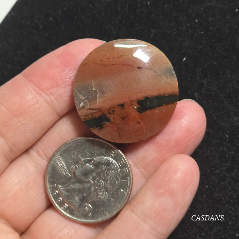 Agatized Wood Cabochon