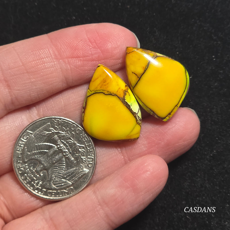 Sunflower Meadow Composite Cabochon