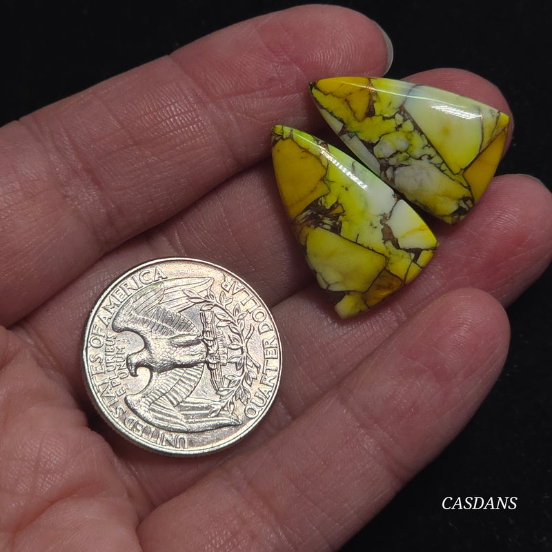 Sunflower Meadow Composite Cabochon