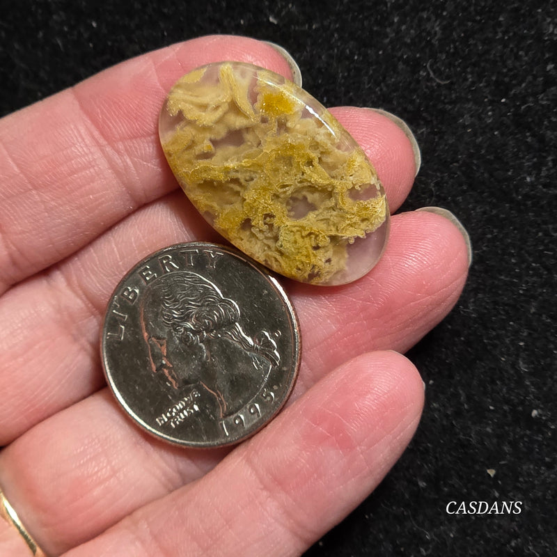 Yellow Moss Agate Cabochon *IMPERFECT*