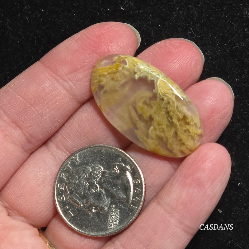 Yellow Moss Agate Cabochon *IMPERFECT*
