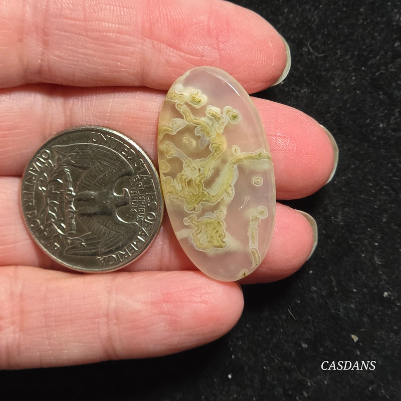 Yellow Moss Agate Cabochon *IMPERFECT*