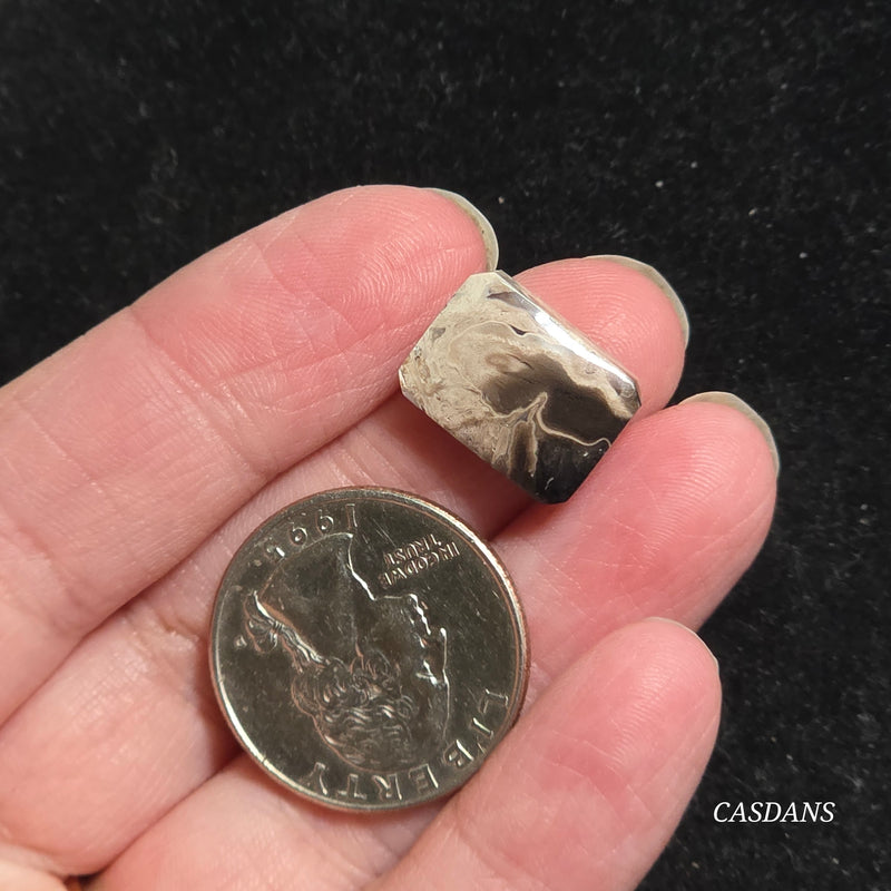 Petrified Palmroot Cabochon (Ring Size)