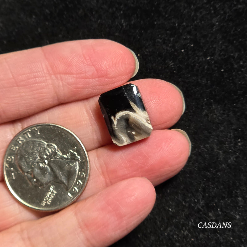 Petrified Palmroot Cabochon (Ring Size)