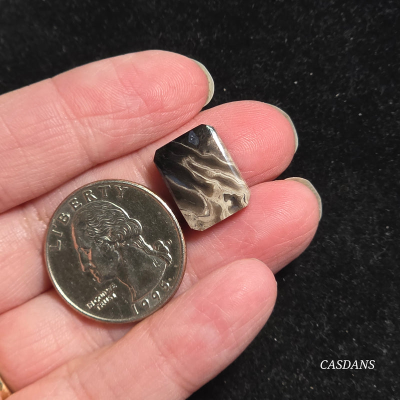 Petrified Palmroot Cabochon (Ring Size)