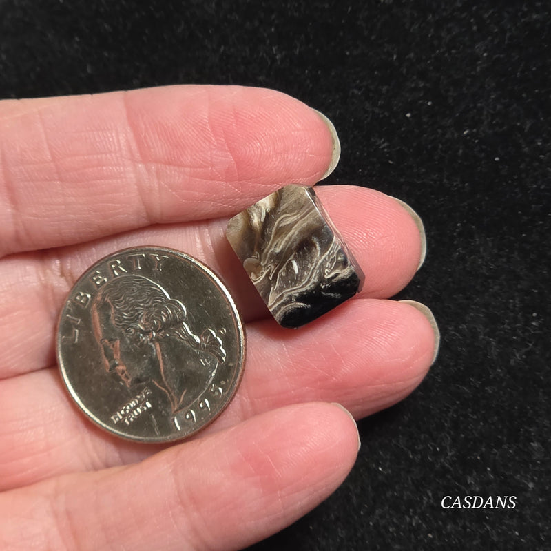 Petrified Palmroot Cabochon (Ring Size)