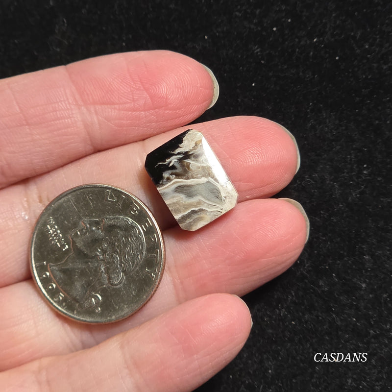 Petrified Palmroot Cabochon (Ring Size)
