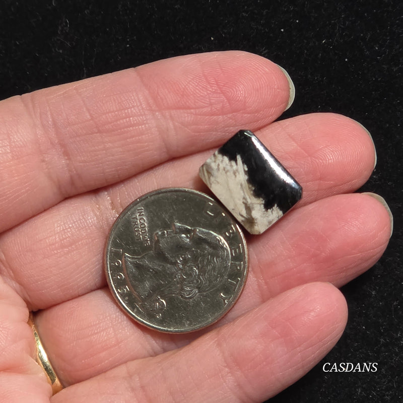 Petrified Palmroot Cabochon (Ring Size)
