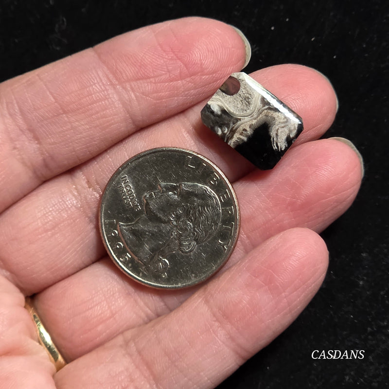 Petrified Palmroot Cabochon (Ring Size)