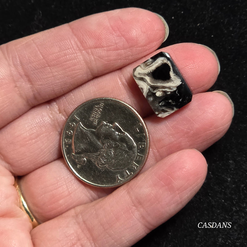 Petrified Palmroot Cabochon (Ring Size)