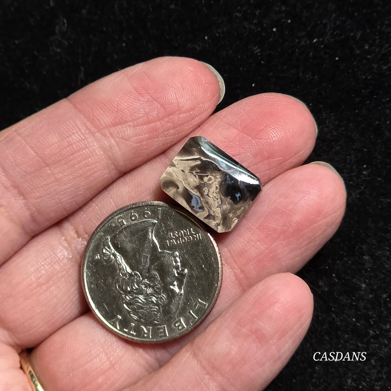 Petrified Palmroot Cabochon (Ring Size)