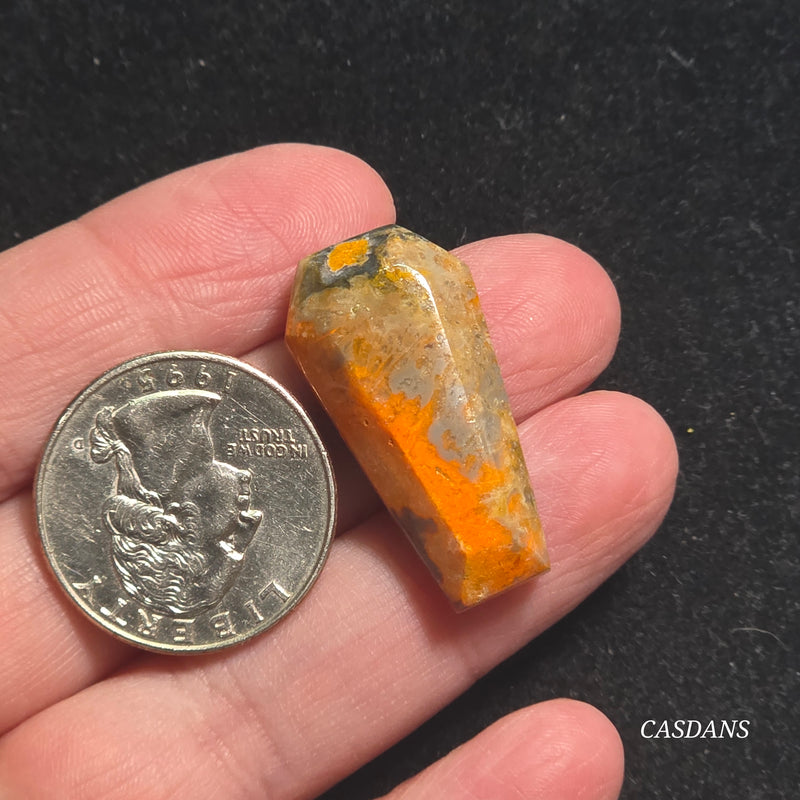 Bumblebee Jasper Coffin