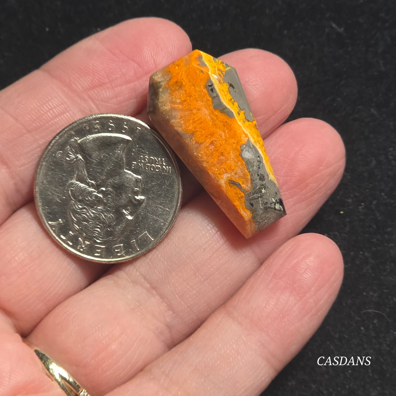 Bumblebee Jasper Coffin