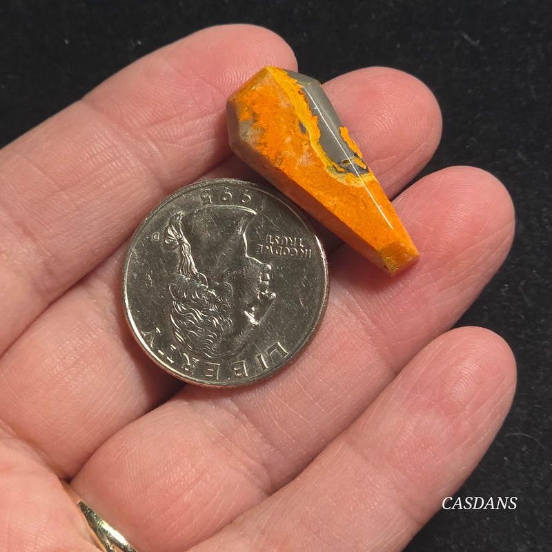 Bumblebee Jasper Coffin
