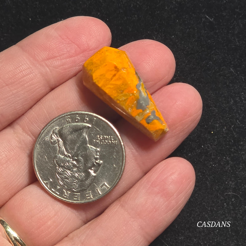 Bumblebee Jasper Coffin