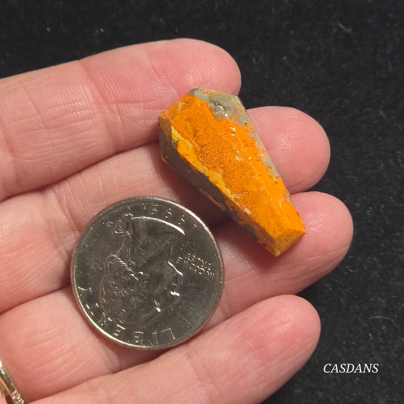Bumblebee Jasper Coffin