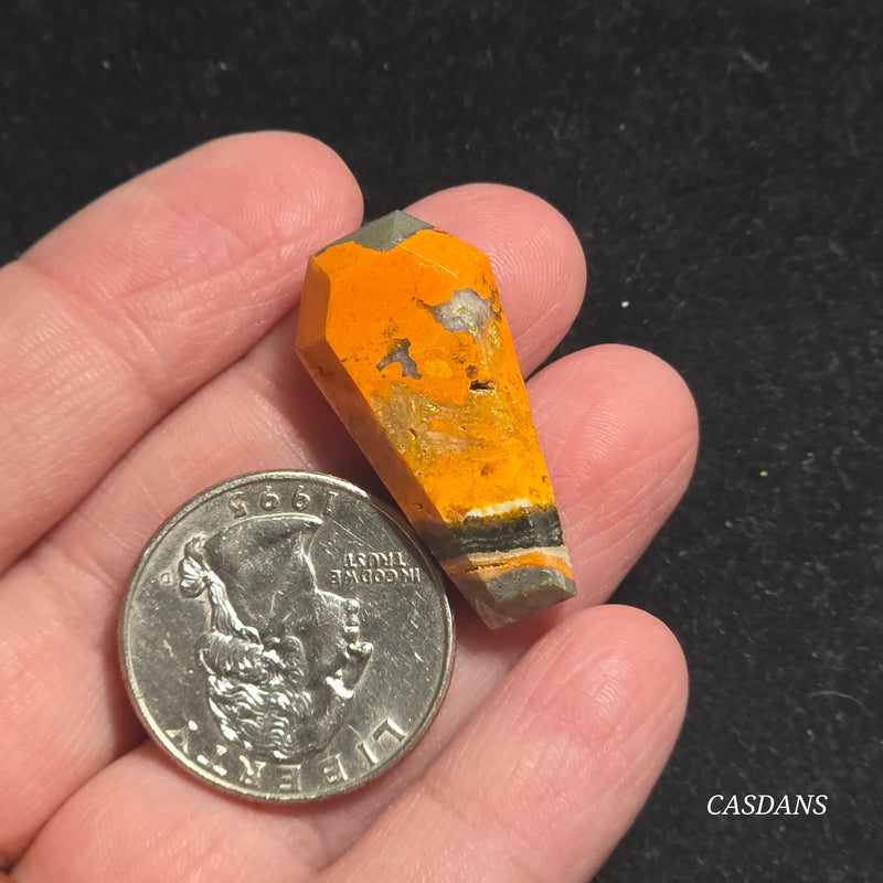 Bumblebee Jasper Coffin