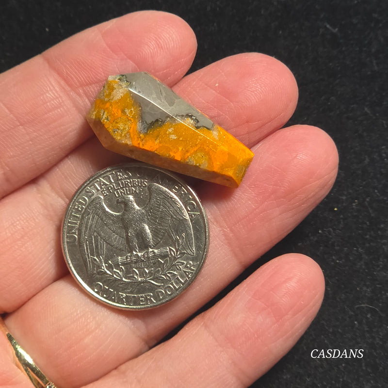 Bumblebee Jasper Coffin