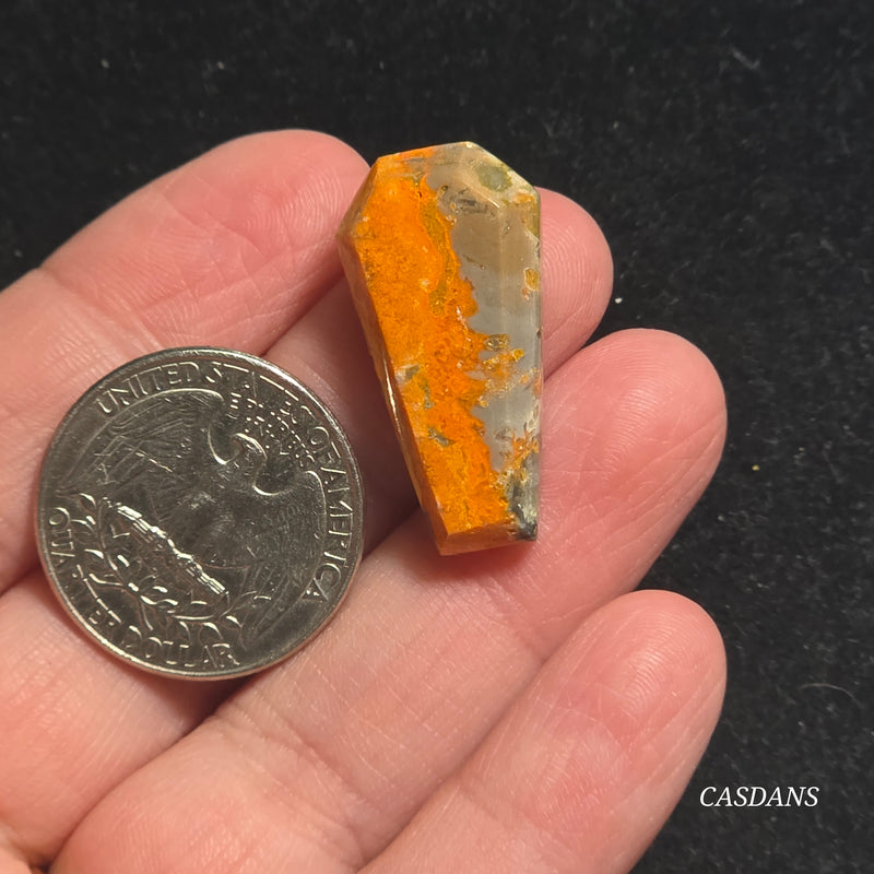 Bumblebee Jasper Coffin