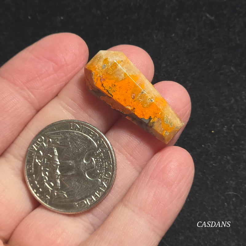 Bumblebee Jasper Coffin